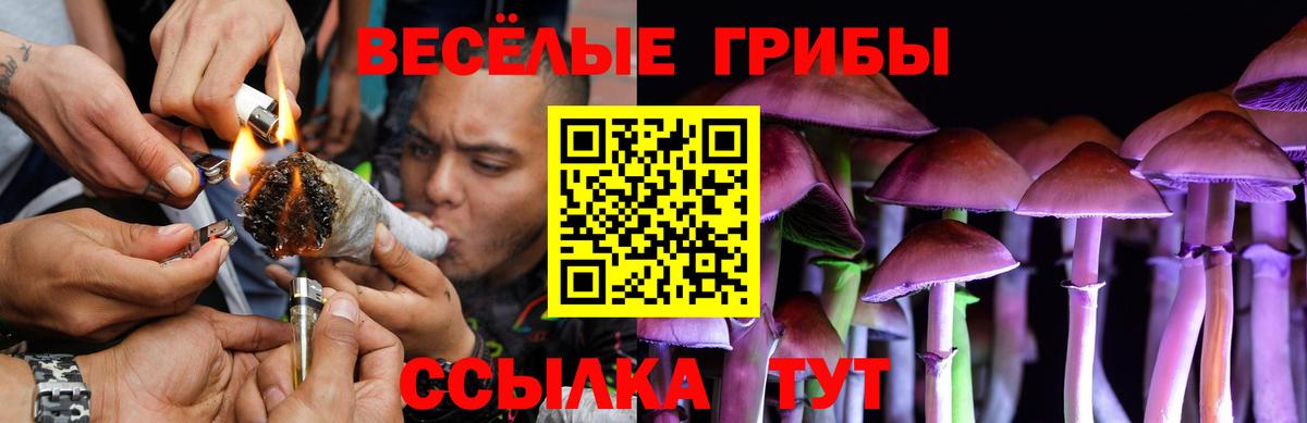 наркота  Вход с VPN  Алапаевск  Галлюциногенные грибы мухоморы 